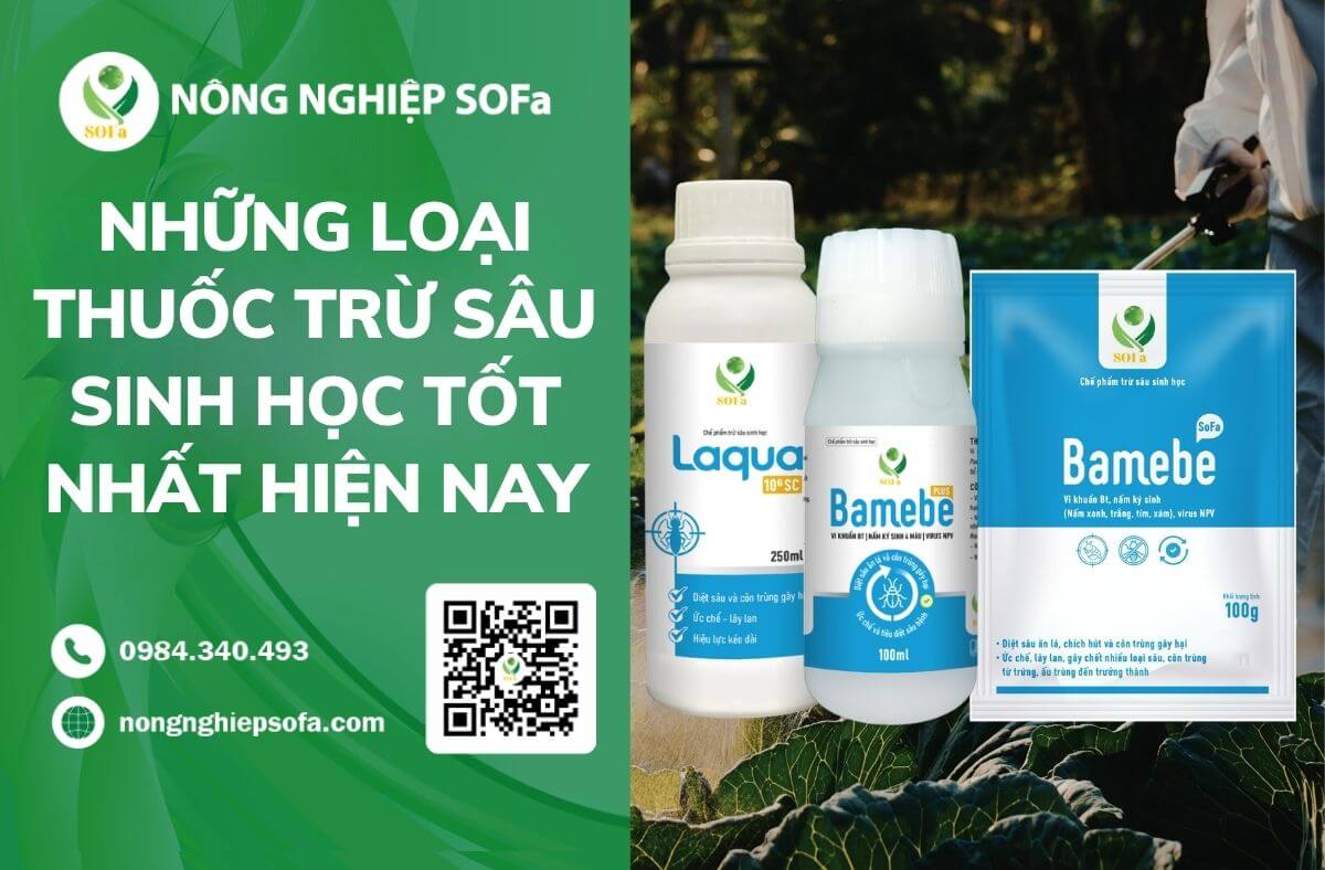 thuốc trừ sâu sinh học tốt nhất hiện nay