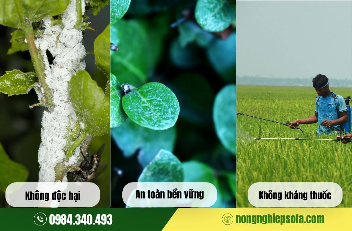 Thuốc trừ sâu sinh học tốt nhất hiện nay
