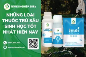 thuốc trừ sâu sinh học tốt nhất hiện nay