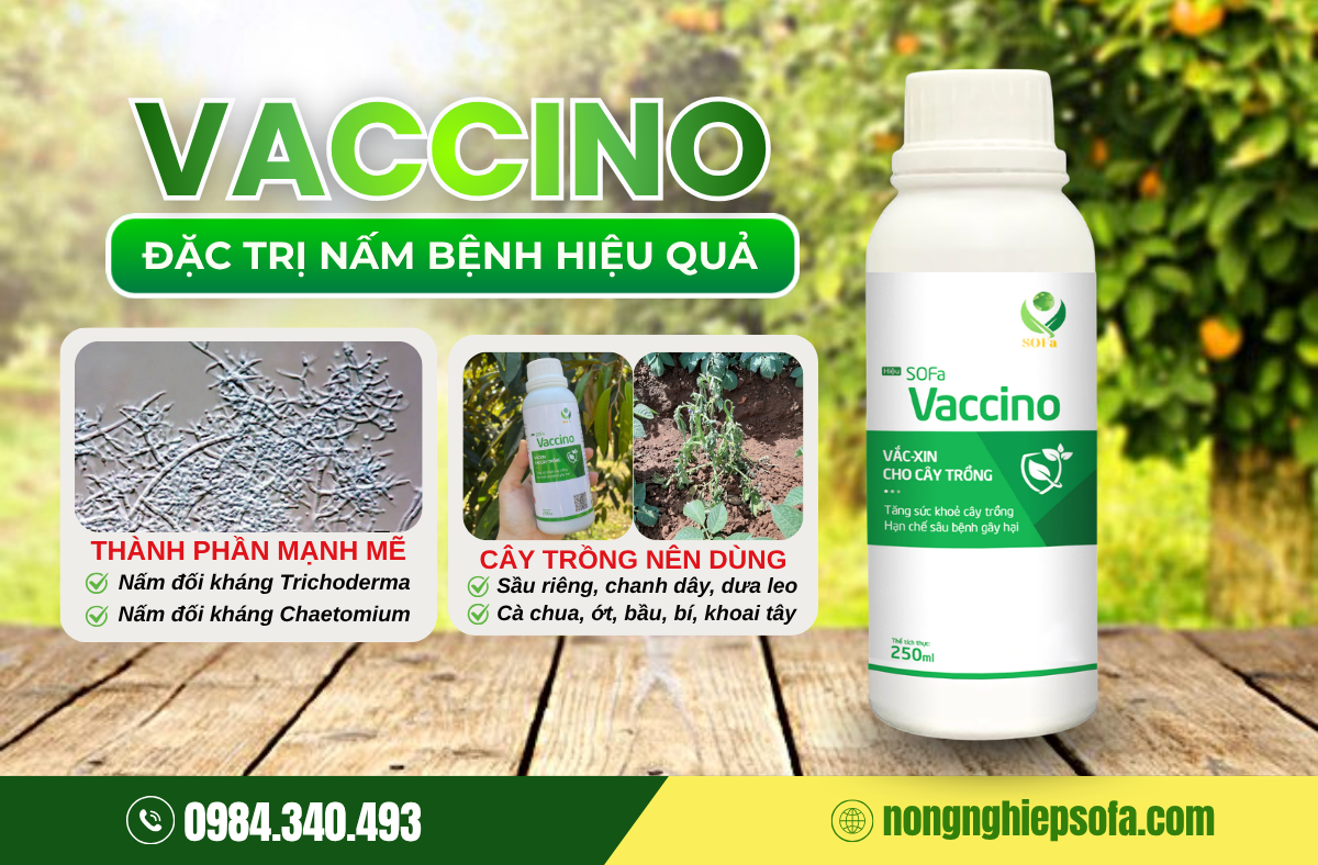 che-pham-dac-tri-nam-benh