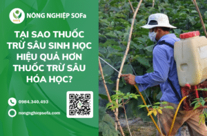 thuoc-tru-sau-sinh-hoc-hieu-qua