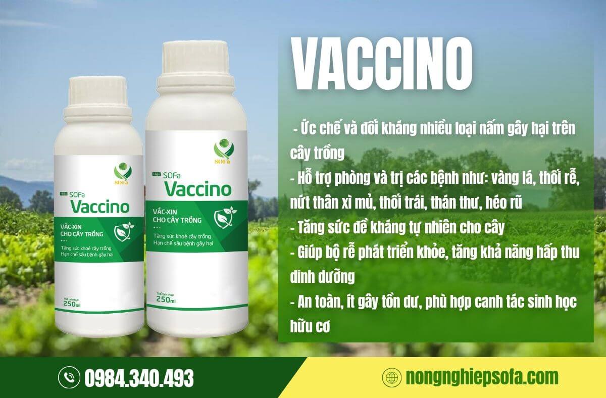 Giải pháp sinh học Vaccino - Phòng trừ các loại nấm bệnh hại cây trồng