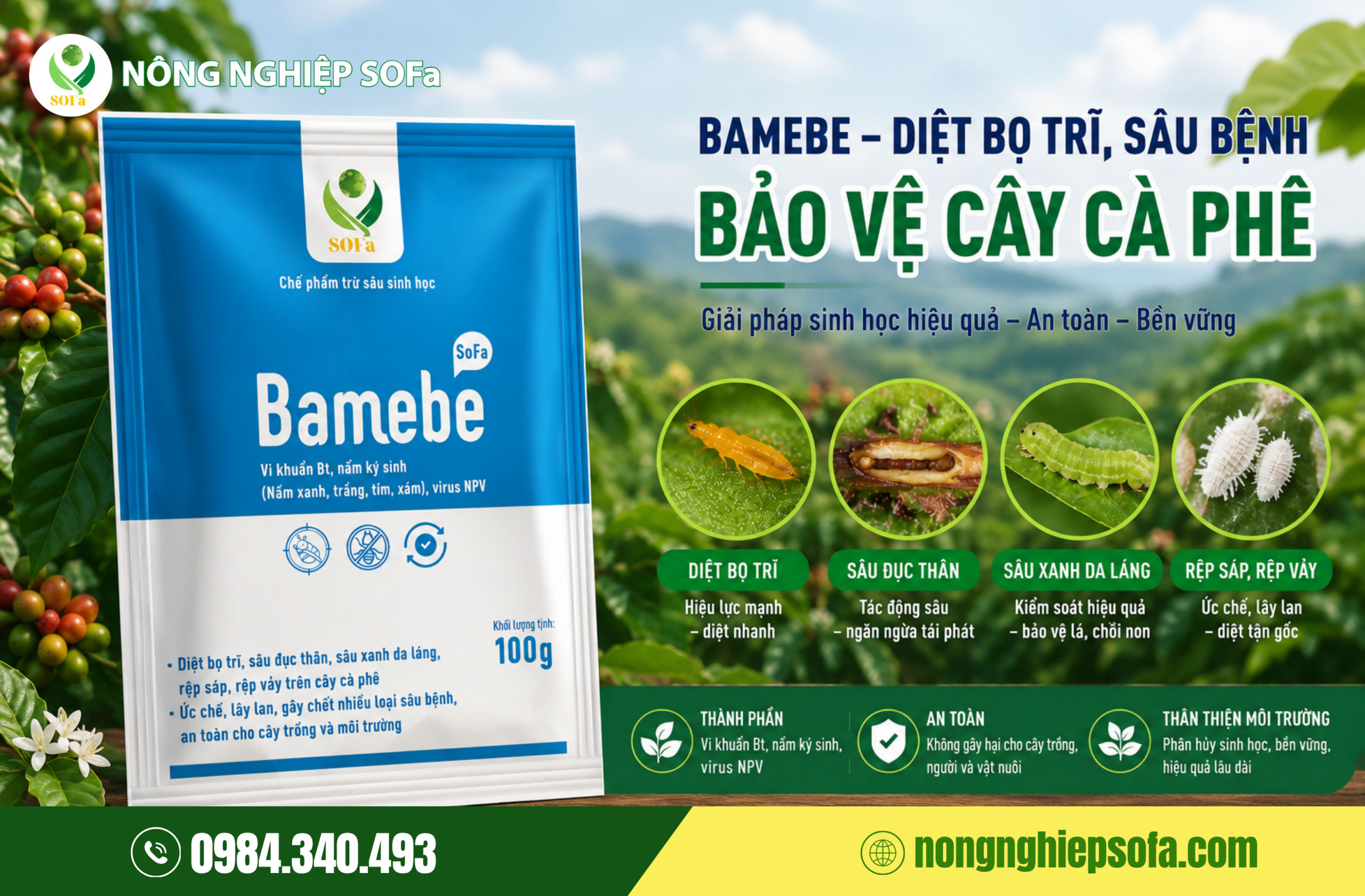 Trị Rệp Sáp Trên Cây Cà Phê An Toàn Và Tiết Kiệm 4 Ưu Tiên Sử Dụng Chế Phẩm Sinh Học