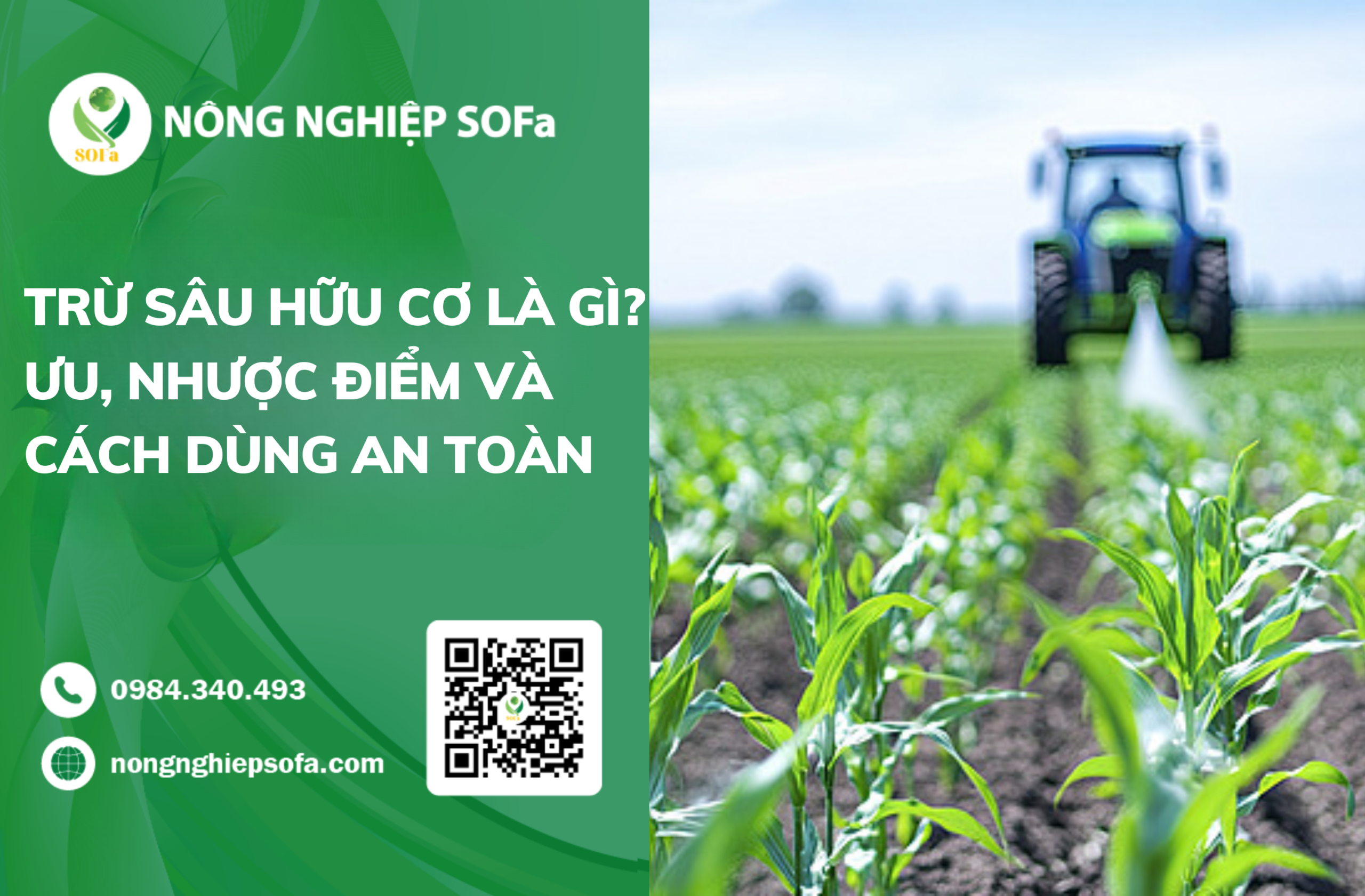 Thuốc trừ sâu hữu cơ là gì? Ưu, nhược điểm và 5 cách sử dụng an toàn
