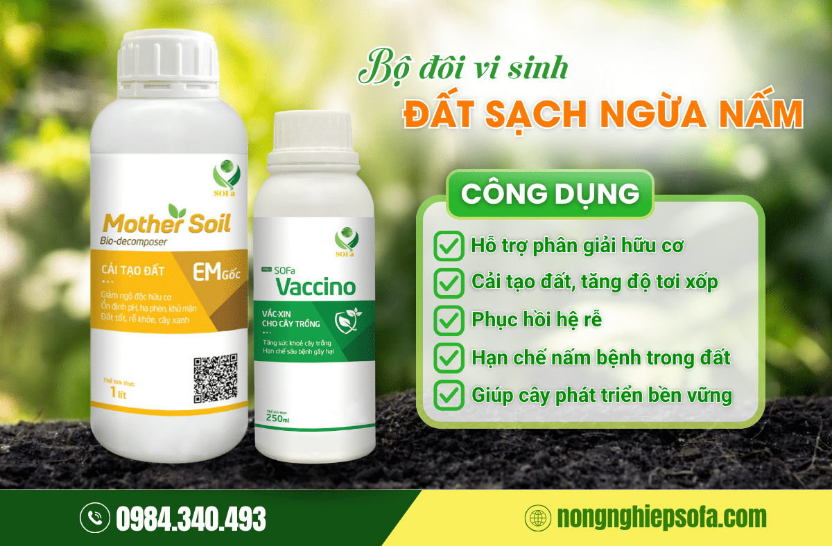 Đất chua là gì? Cách xử lý đất chua hiệu quả 100% cho vườn sầu riêng 4 khu-dat-chua-nhiem-phen