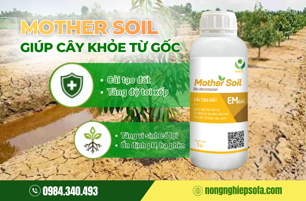 cai-tao-dat-mother-soil