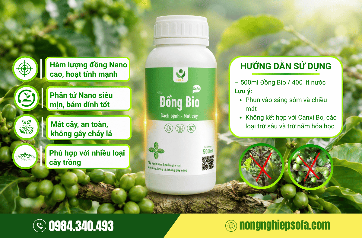 Nguyên nhân và cách phòng ngừa bệnh nấm hồng cà phê hiệu quả 4 tri-nam-hong-ca-phe