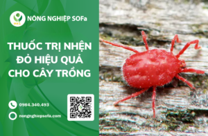 thuoc-tri-nhen-do-hieu-qua-cho-cay