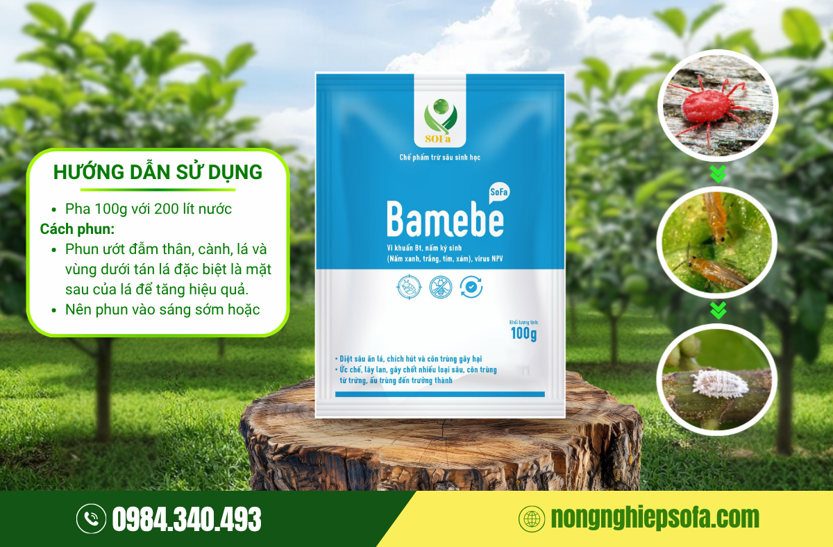 Thuốc trị nhện đỏ hiệu quả 100% cho cây trồng 3 tru-sau-sinh-hoc-bamebe