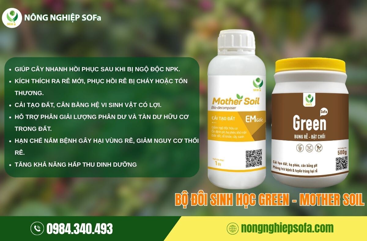 Nguyên nhân cây bị ngộ độc NPK và cách khắc phục 5 Dùng chế phẩm sinh học cứu cây bị ngộ độc NPK