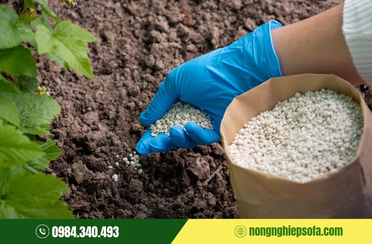 Phân bón có tác dụng gì