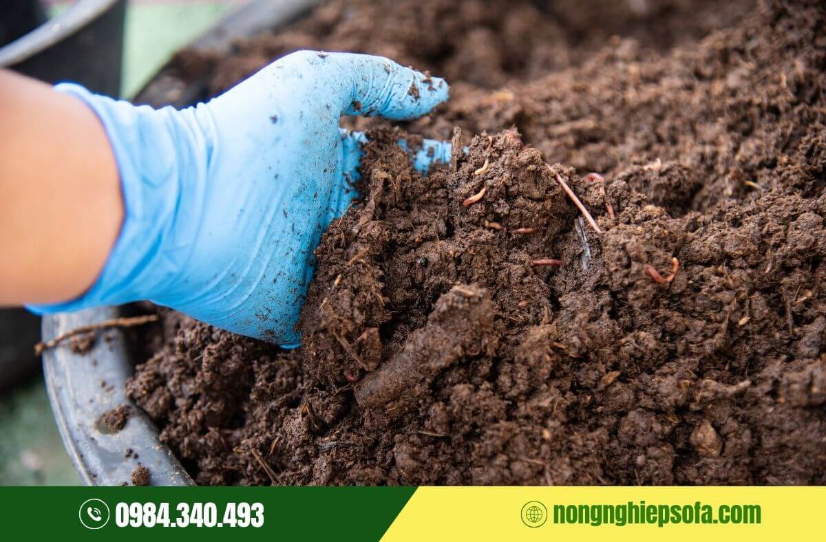 Phân bón có tác dụng gì