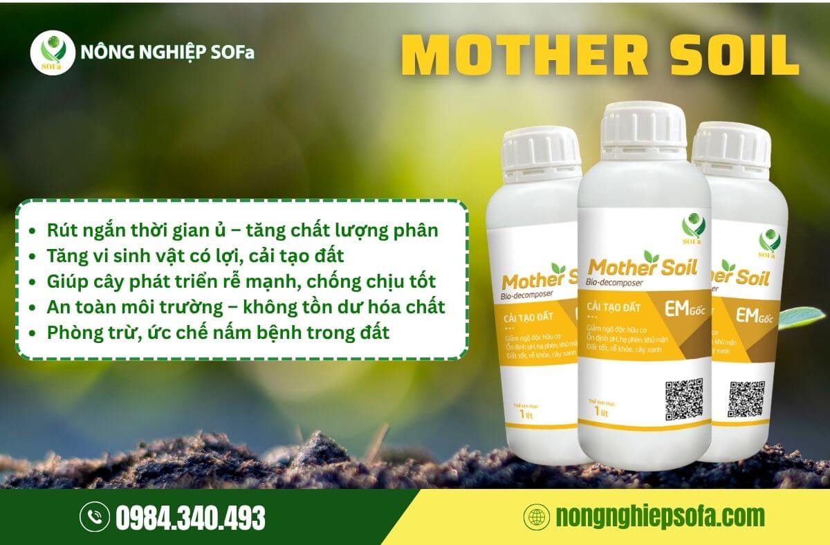 Phân bón có tác dụng gì