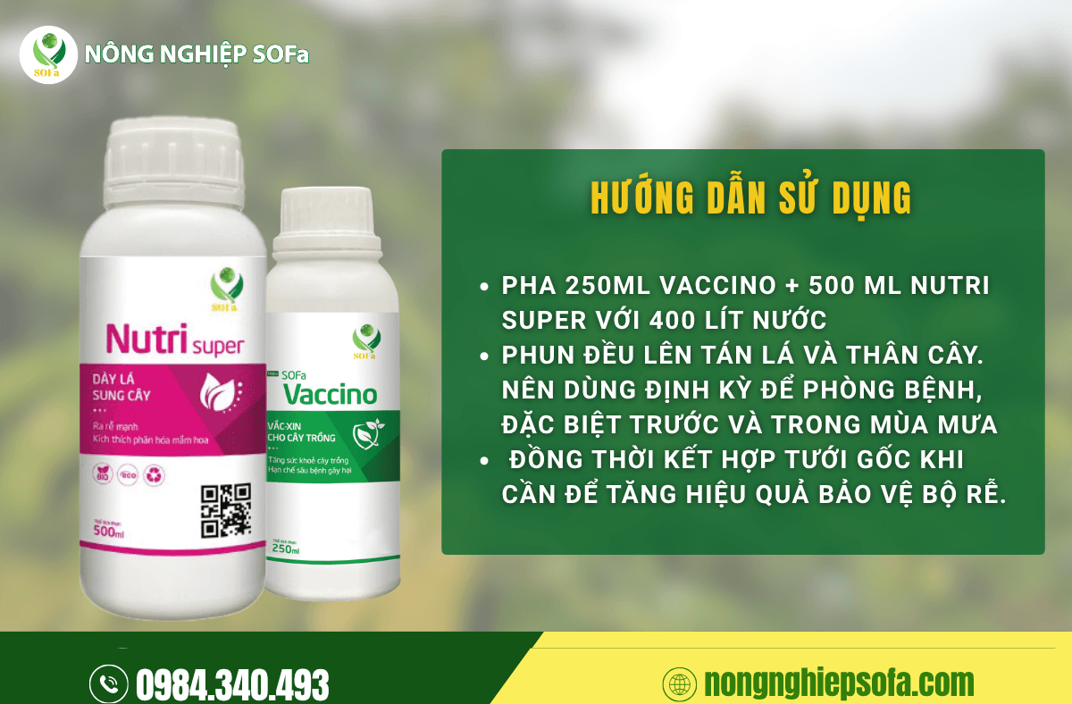 SẦU RIÊNG BỊ VÀNG LÁ: NGUYÊN NHÂN VÀ CÁCH PHÒNG TRỪ 5 Biện pháp sinh học phòng trừ sầu riêng bị vàng lá
