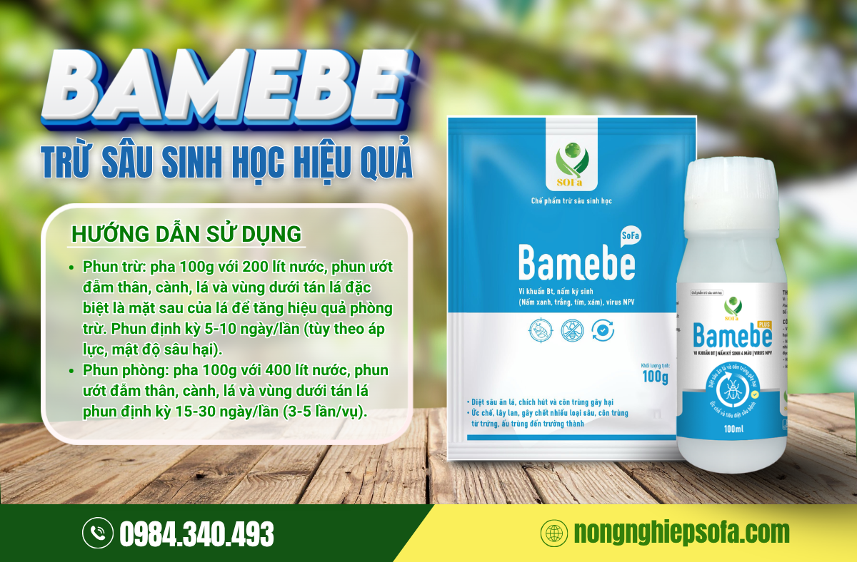 4 hậu quả khi sử dụng thuốc trừ sâu hóa học 4 thuoc-tru-sau-sinh-hoc-bamebe