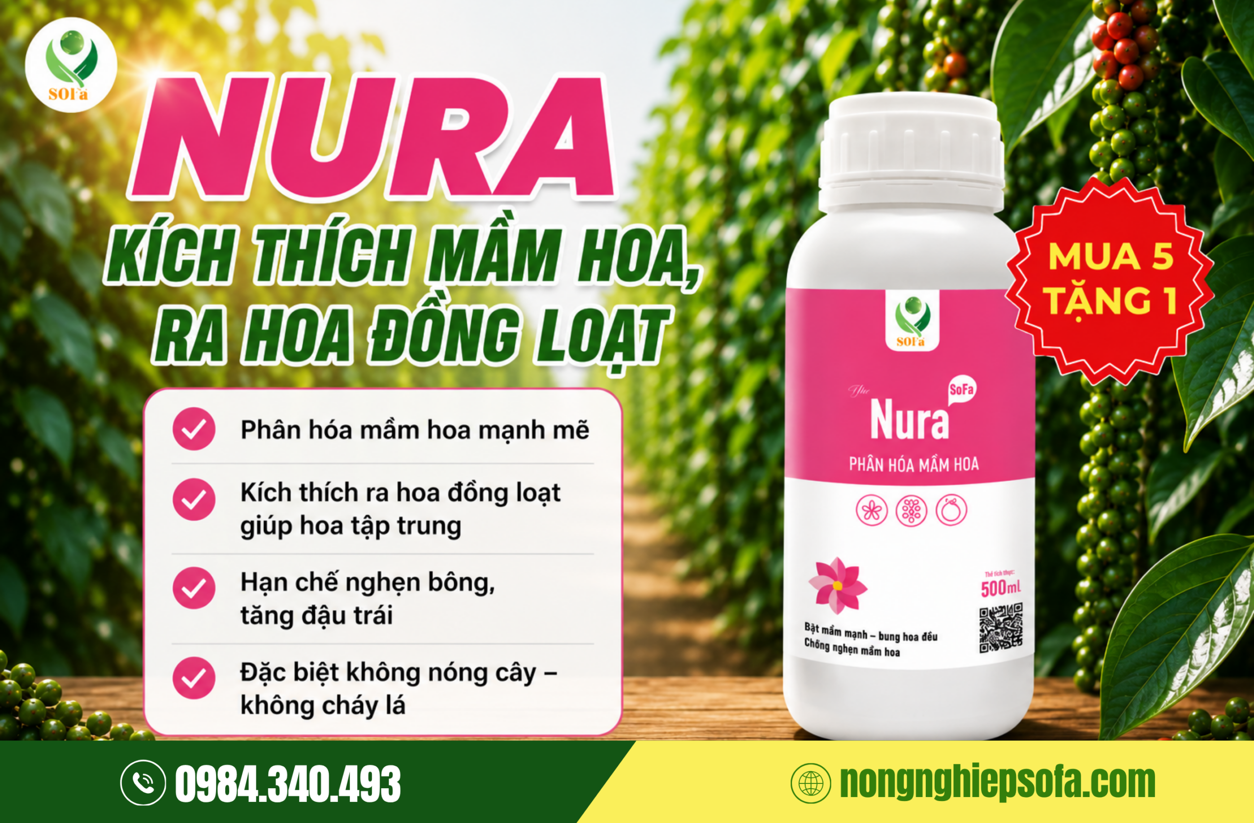 5 Biện pháp khắc phục cà phê ra ít hoa, năng suất kém 4 Bổ sung Nura SOFa – hỗ trợ phân hóa mầm hoa, tăng sức khỏe cây