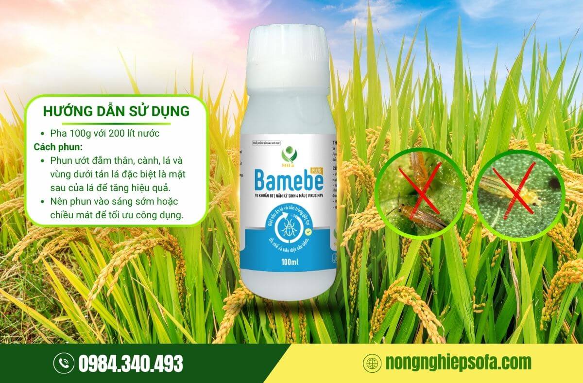 Cách diệt con bọ trĩ tận gốc an toàn, hiệu quả 4 Chế phẩm sinh học Bamebe diệt con bọ trĩ
