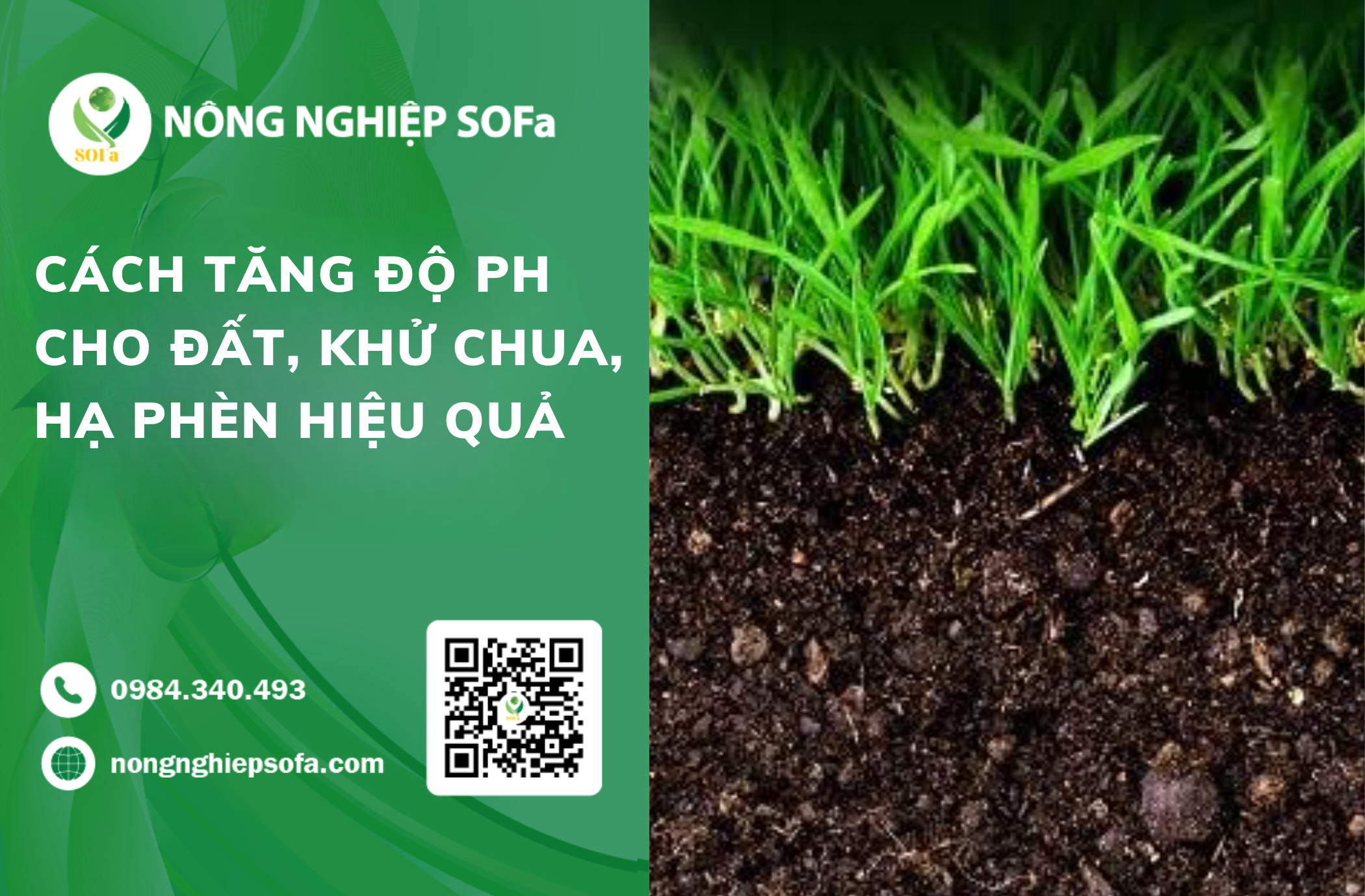 Hướng dẫn 4 cách tăng độ pH cho đất, khử chua, hạ phèn hiệu quả 1 Hướng dẫn cách tăng độ pH cho đất, khử chua, hạ phèn hiệu quả
