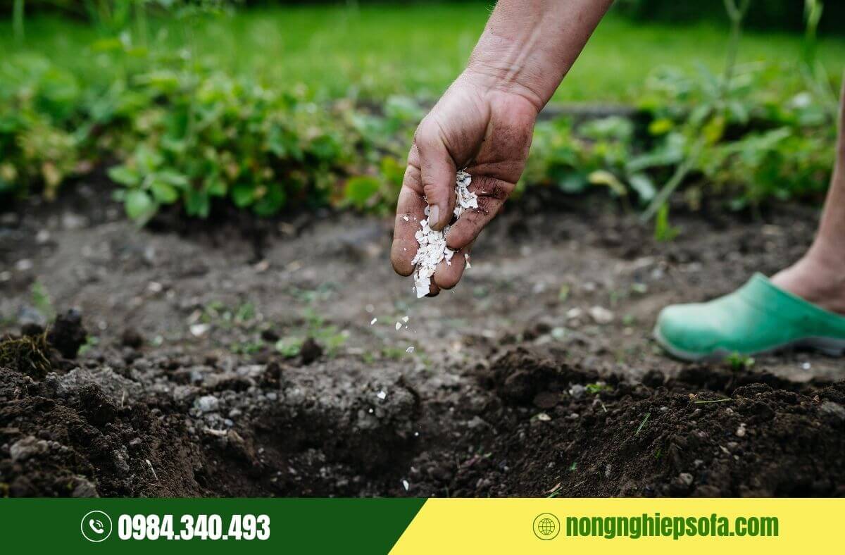 Các loại phân có tác dụng cải tạo đất hiệu quả 2 Cách dùng phân có tác dụng cải tạo đất