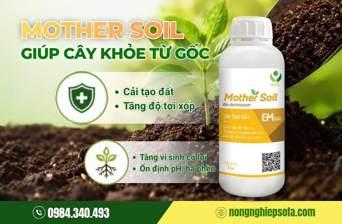 Các loại phân có tác dụng cải tạo đất hiệu quả 4 phân có công dụng cải tạo đất