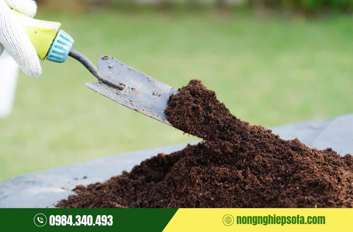 Các loại phân có tác dụng cải tạo đất hiệu quả 5 phân có công dụng cải tạo đất