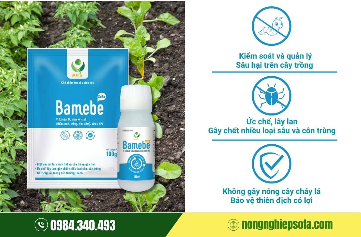 Cách phòng trừ và diệt rầy xanh trên cây trồng hiệu quả 100% 5 Thuốc đặc trị rầy xanh