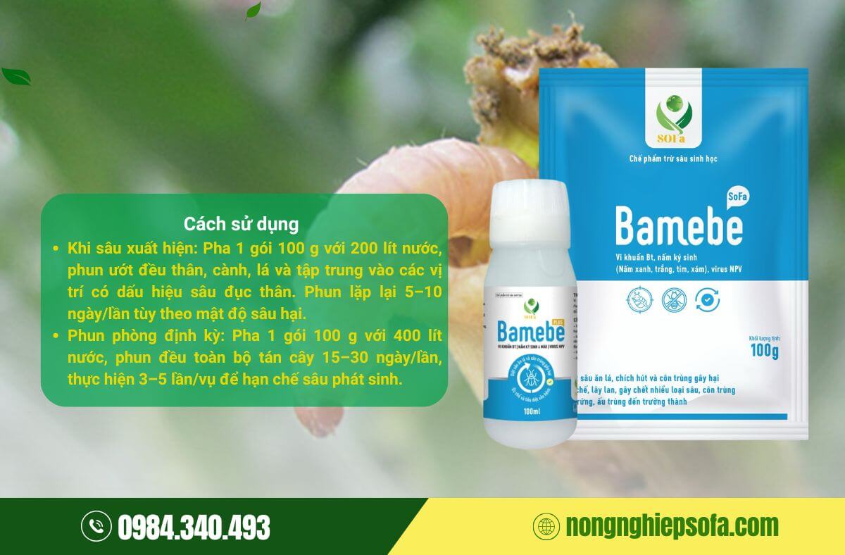 Sâu đục thân là gì?Dấu hiệu và cách phòng trừ nhanh, hiệu quả 5 Thuốc trị sâu đục thân- Trừ sâu sinh học Bamebe