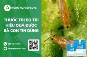 thuoc-tri-bo-tri-sinh-hoc