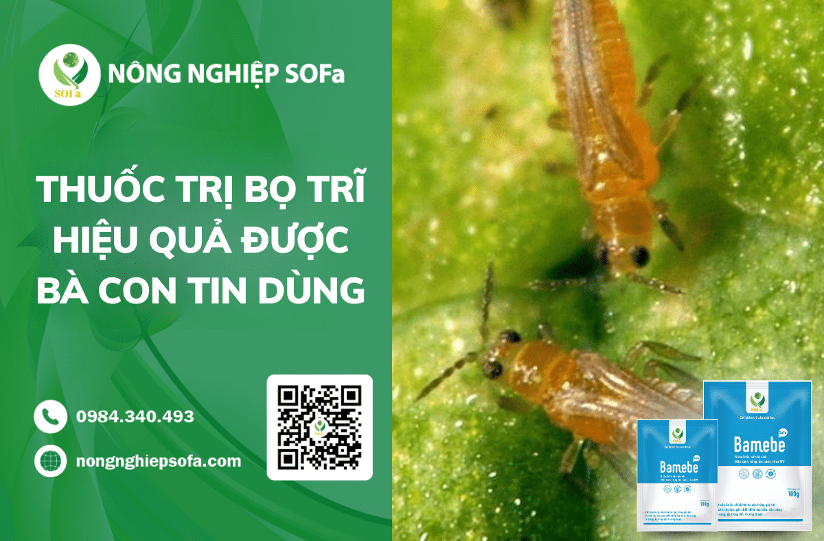 thuoc-tri-bo-tri-sinh-hoc