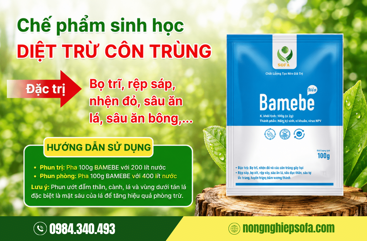Thuốc trị bọ trĩ sinh học 100% được bà con tin dùng 4 thuoc-tri-bo-tri-hieu-qua