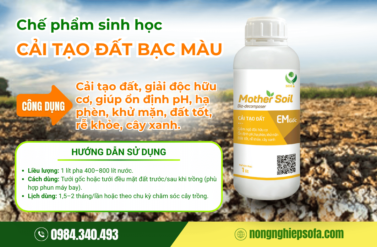 che-pham-vi-sinh-cai-tao-dat