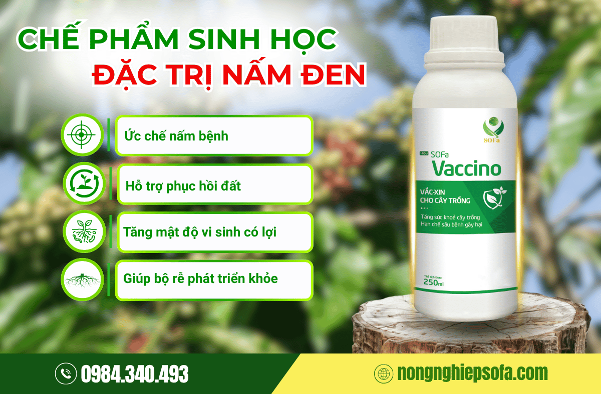 Nguyên nhân, dấu hiệu và cách phòng trừ bệnh nấm đen cà phê hiệu quả 4 thuoc-tri-nam-den-tren-cay-ca-phe