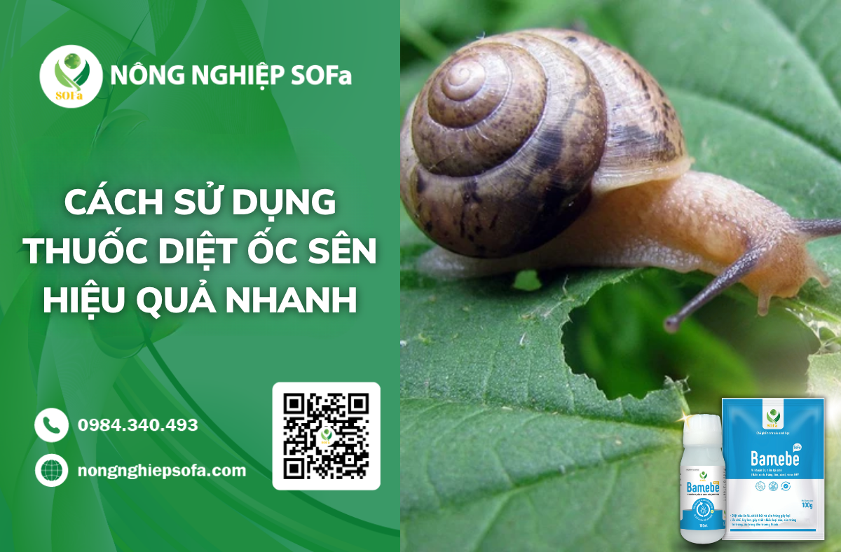 thuoc-diet-oc-sen-sinh-hoc-hieu-qua