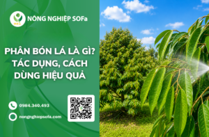phan-bon-la-la-gi-tac-dung-cua-phan-bon-la