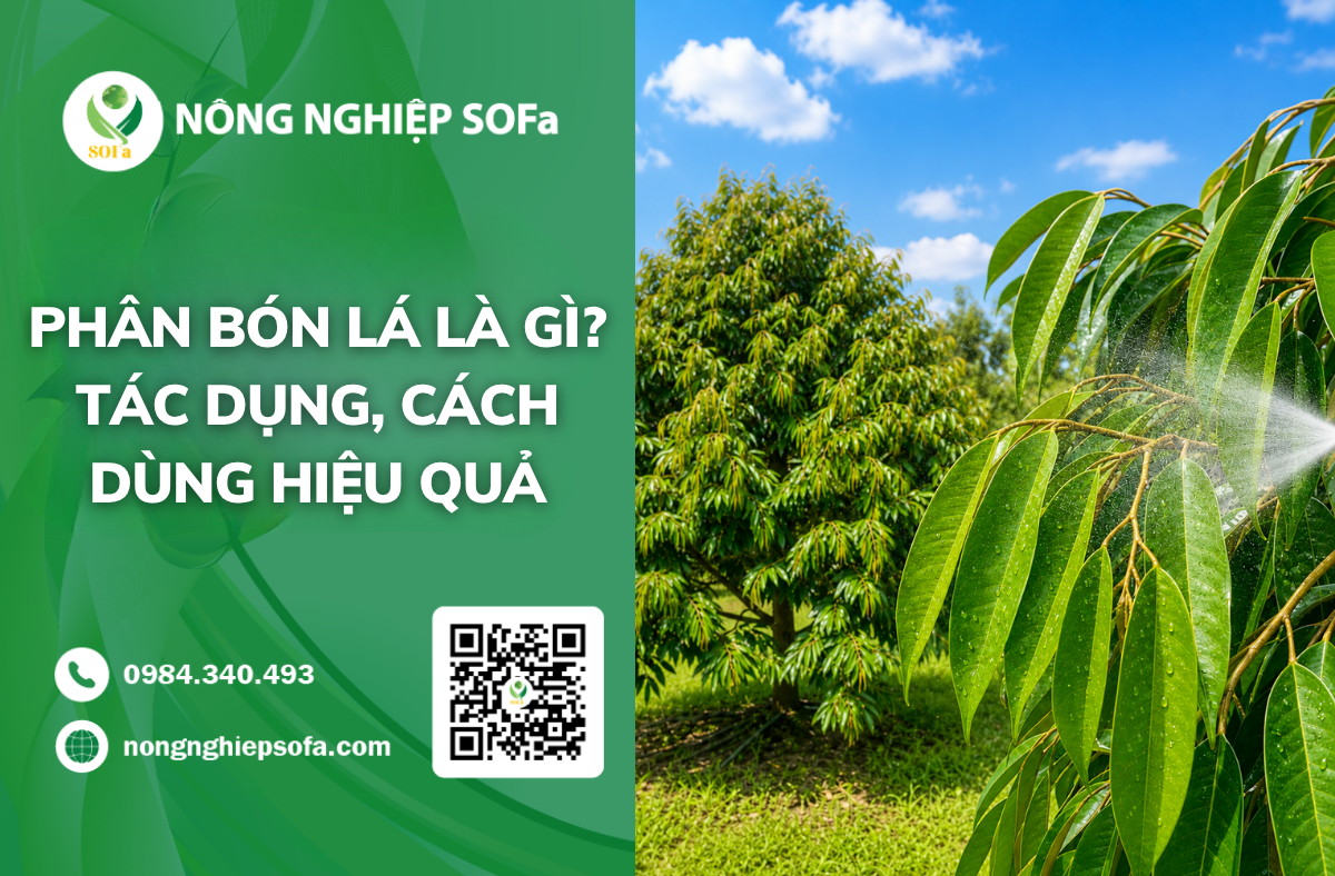phan-bon-la-la-gi-tac-dung-cua-phan-bon-la