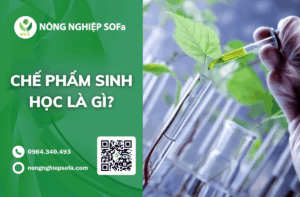 Che-pham-sinh-hoc-là-gì-ung-dung-cho-cay-trong