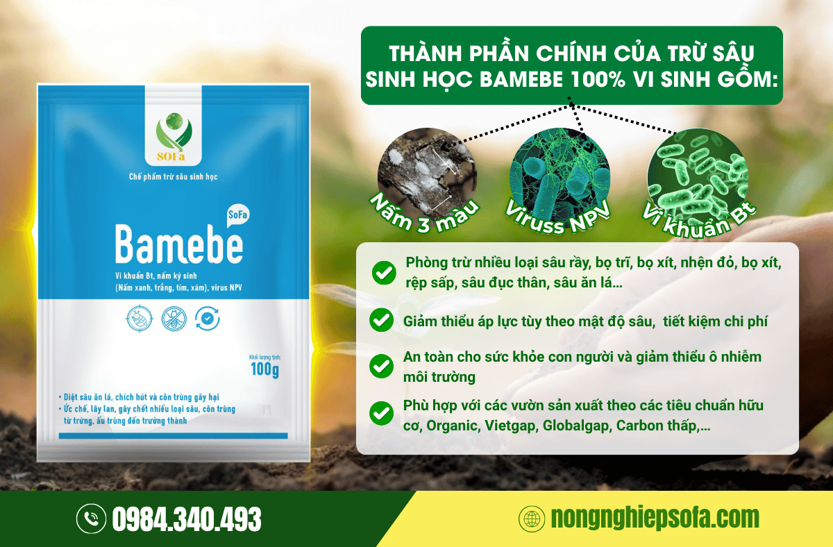 che-pham-tru-sau-sinh-hoc-bamebe