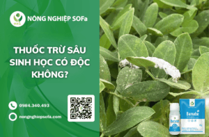 thuoc-tru-sau-sinh-hoc-co-doc-khong