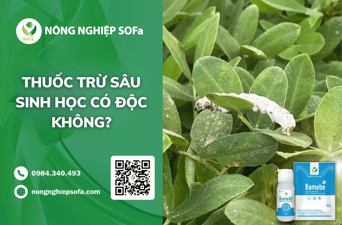 thuoc-tru-sau-sinh-hoc-co-doc-khong