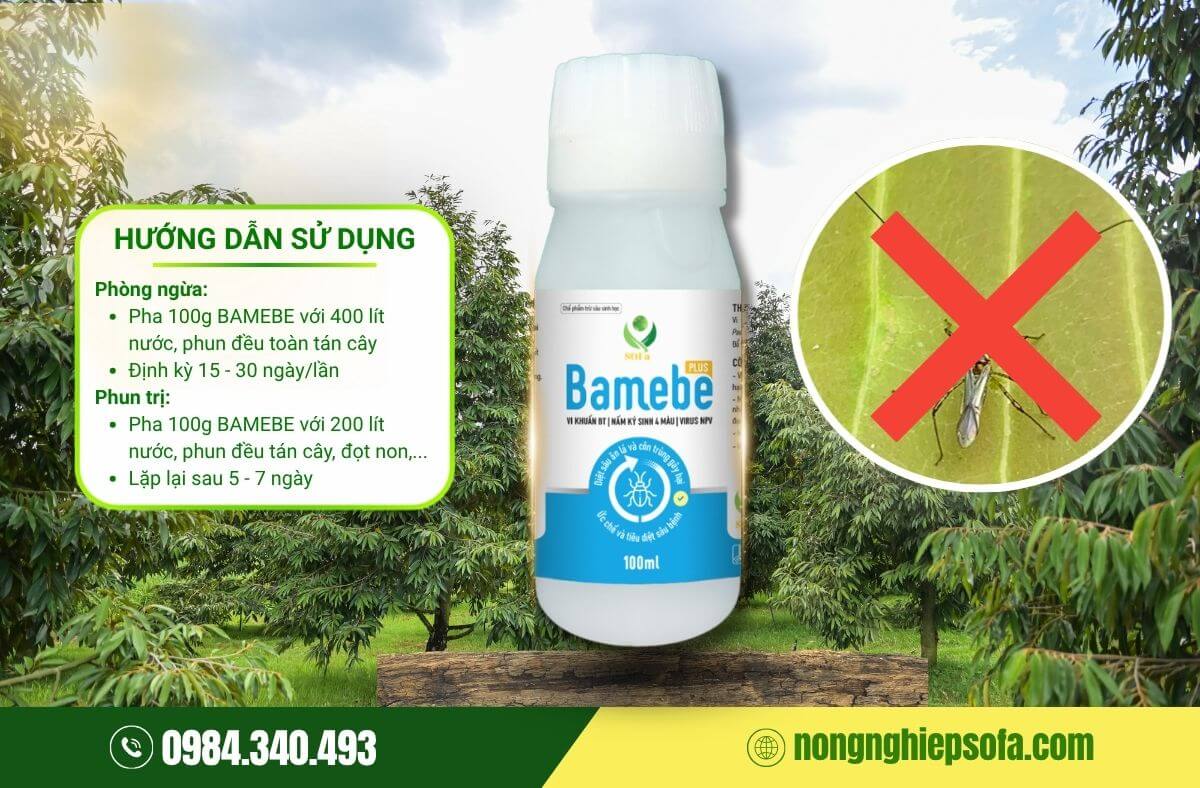 Bọ xít muỗi hại sầu riêng và biện pháp phòng trừ 4 Thuốc trị bọ xít muỗi hại sầu riêng