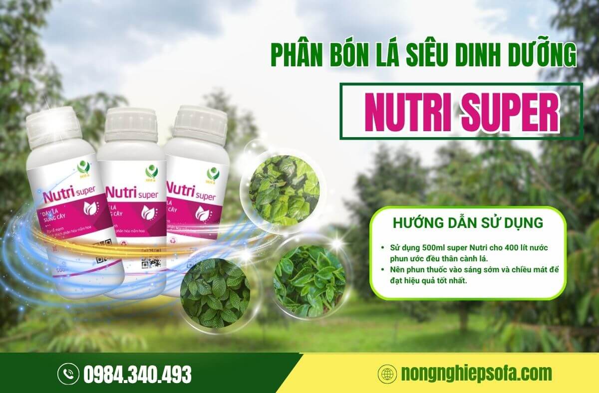 Phân bón vi lượng là gì? Chức năng và cách sử dụng hiệu quả 5 Phân bón vi lượng
