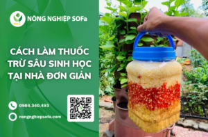 cach-lam-thuoc-tru-sau-sinh-hoc-tai-nha