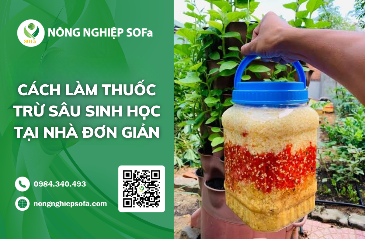 cach-lam-thuoc-tru-sau-sinh-hoc-tai-nha