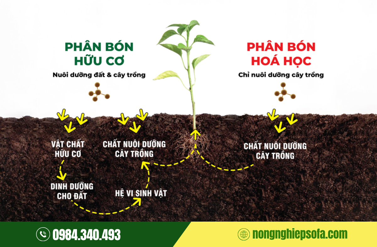 che-pham-vi-sinh-va-phan-bon-hoa-học-khac-nhau