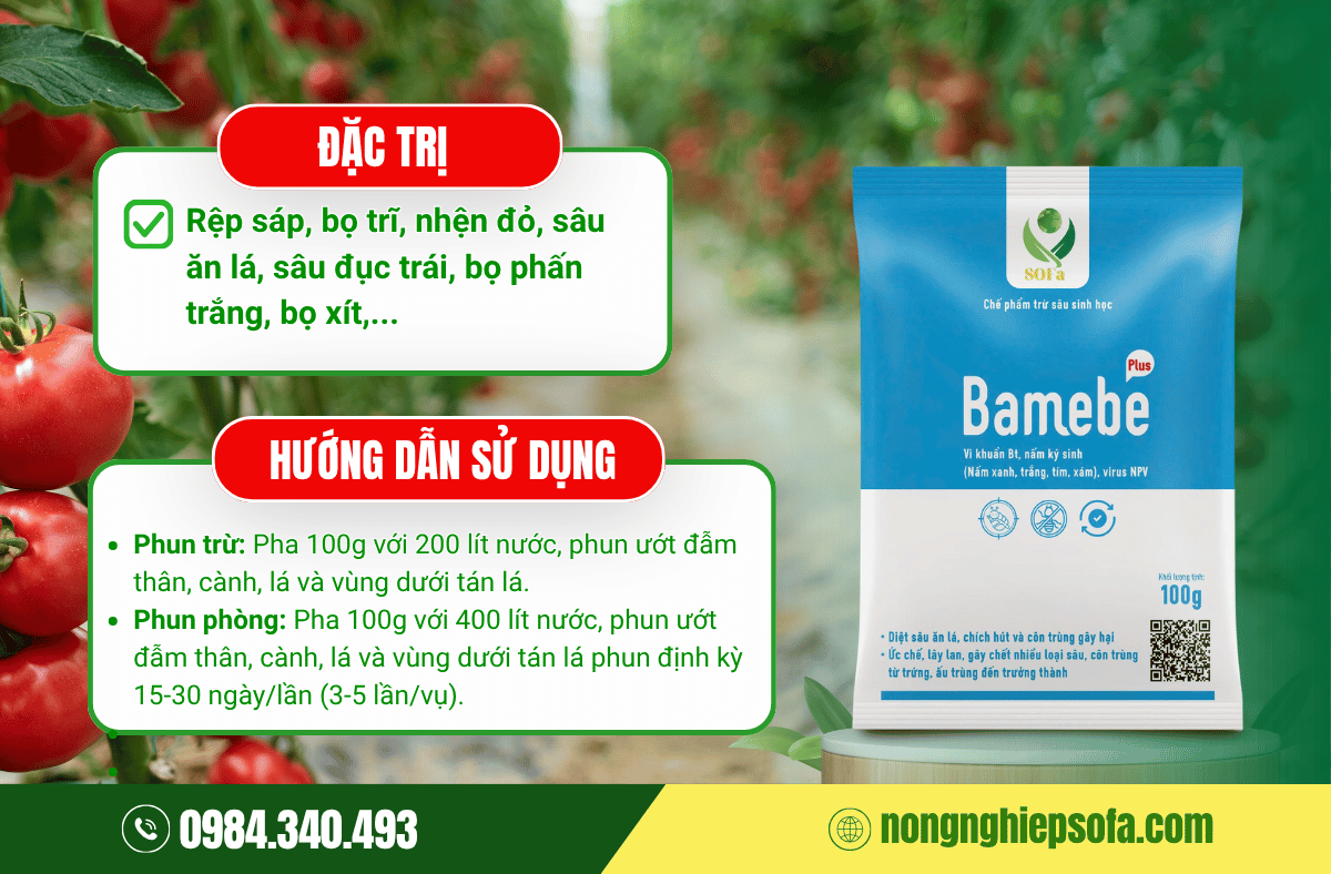 thuoc-tri-bo-phan-trang-hai-ca-chua