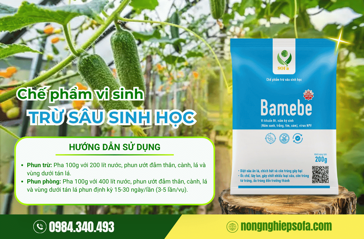 Cách trị ruồi vàng đục trái dưa leo số 1 Việt Nam 3 thuoc-tri-ruoi-vang