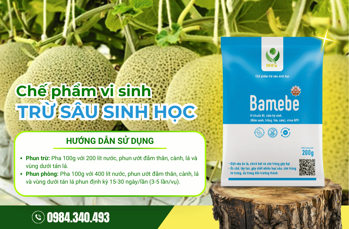 Cách phòng ngừa bọ trĩ hại dưa lưới 3 thuoc-tri-bo-tri-hai-dua-luoi