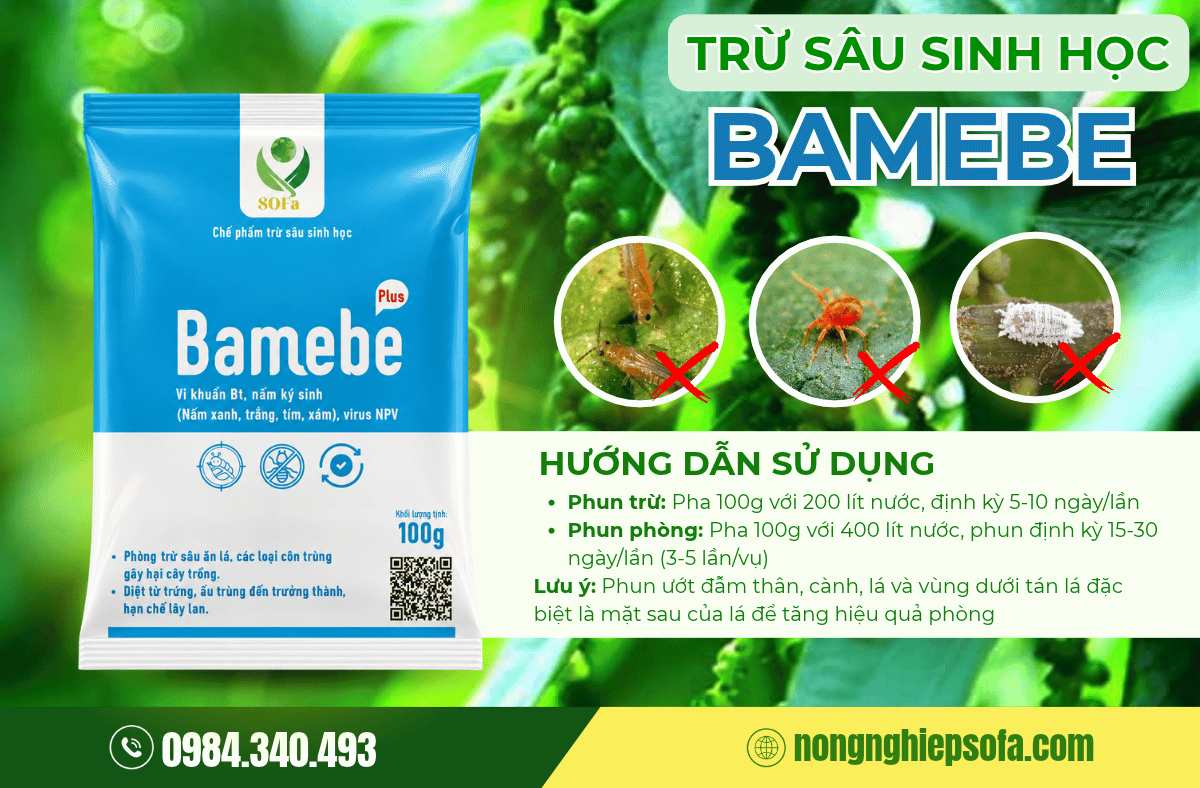 Phòng Trừ Rệp Kim Hại Tiêu Hiệu Quả 4 thuoc-tri-rep-kim-hai-tieu